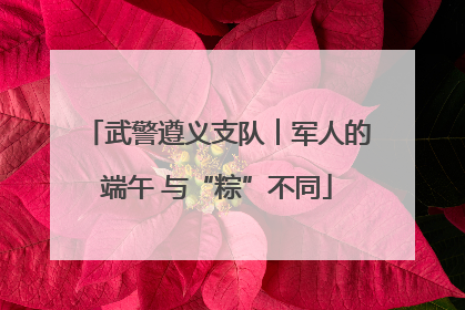 武警遵义支队︱军人的端午 与“粽”不同